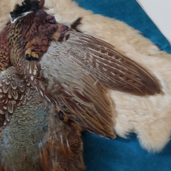 Pheasant   Decoration - Picture 4 of 4